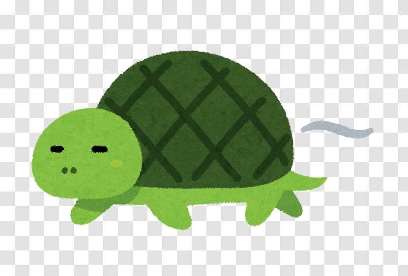 Turtle The Tortoise And Hare Reptile Foot Transparent PNG