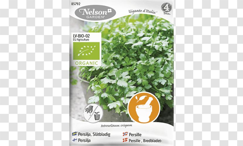 Organic Farming Parsley Italy Herb - Food Transparent PNG