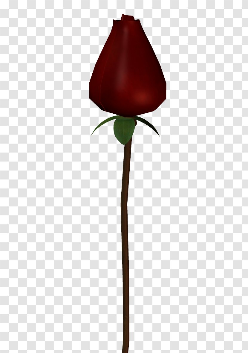 Flower Maroon Plant Stem Transparent PNG