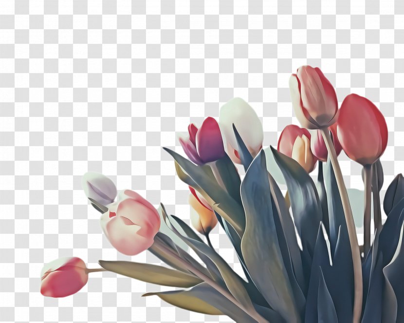 Flowers Background - Nail Salon - Crocus Artificial Flower Transparent PNG