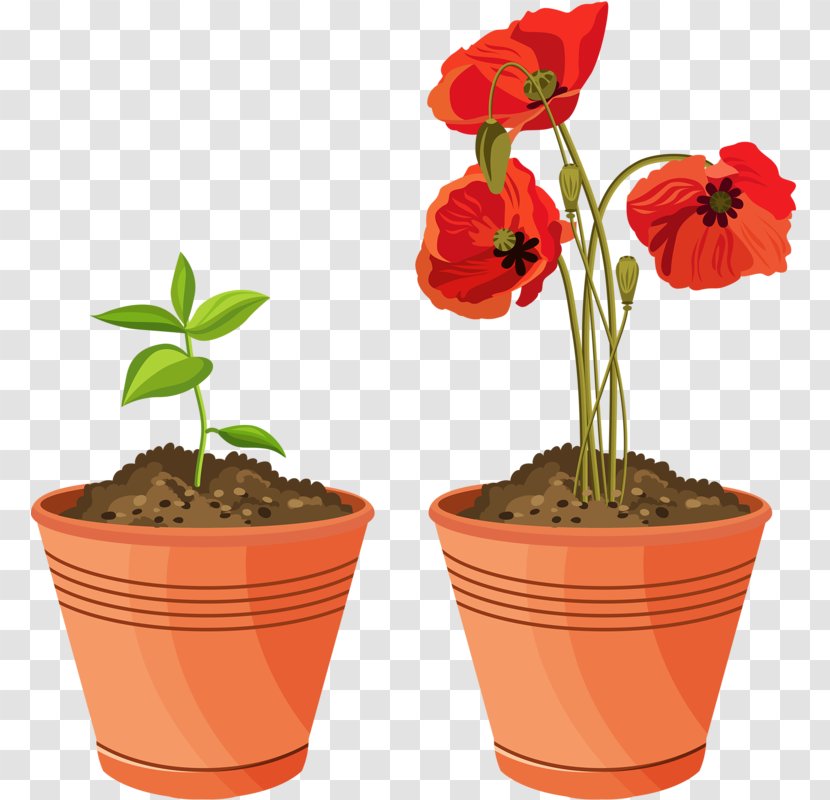 Flowerpot Floral Illustrations Garden Potting Soil Clip Art - Drawing - Hand Painted Scenery Transparent PNG