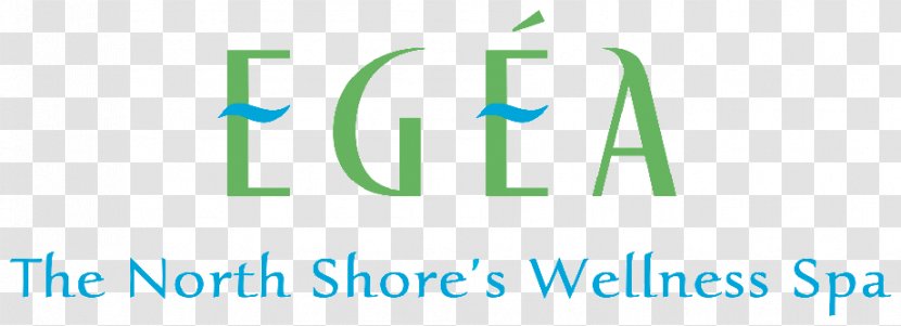Egea Spa The North Shores Wellness Day Pedicure Facial - Laser Hair Removal - Health Transparent PNG