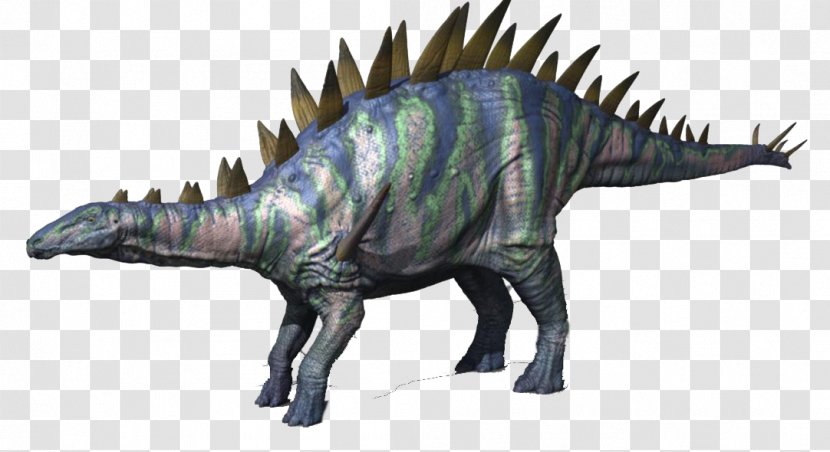 Tyrannosaurus Tuojiangosaurus Stegosaurus Kentrosaurus Wuerhosaurus - Extinction - Dinosaur Transparent PNG