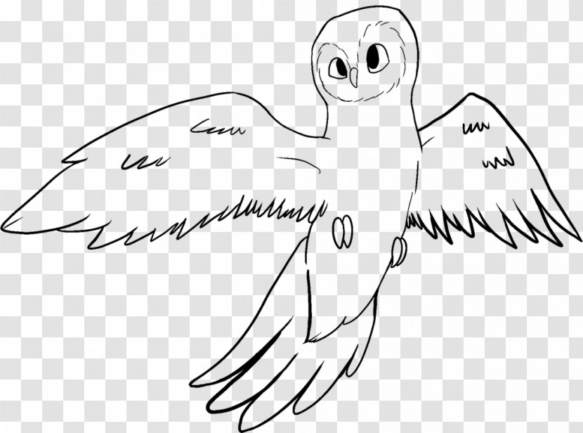 Beak Owl Bird Line Art Drawing - Cartoon Transparent PNG