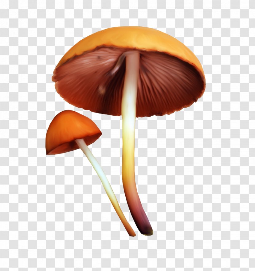 Mushroom Fungus Clip Art - Animation - Teepee Transparent PNG