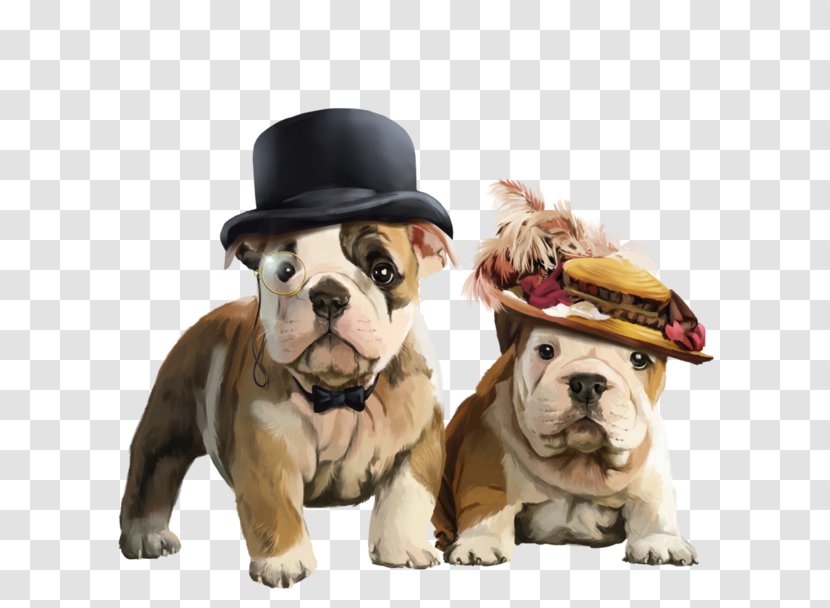 French Bulldog Toy Dorset Olde Tyme Bulldogge Puppy - Stock Photography - Ingles Transparent PNG