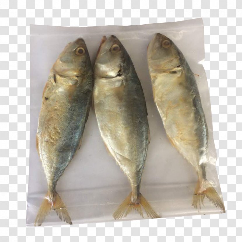Kipper Indian Mackerel Chub Salted Fish Transparent PNG