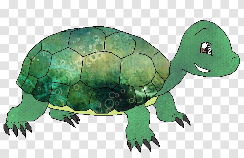 Tortoise Sea Turtle Pond Turtles Animal - Terrestrial Transparent PNG