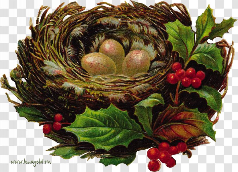 Bird Nest Paper Christmas Ornament Transparent PNG