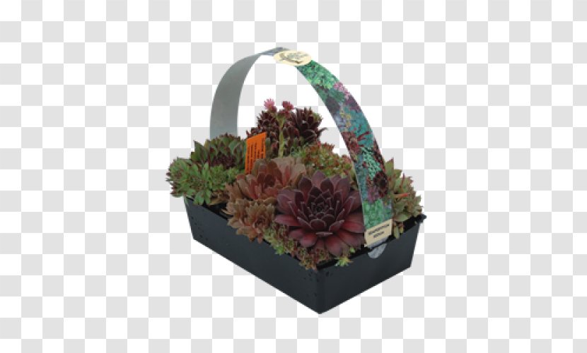 Floral Design Food Gift Baskets - Flower Arranging Transparent PNG