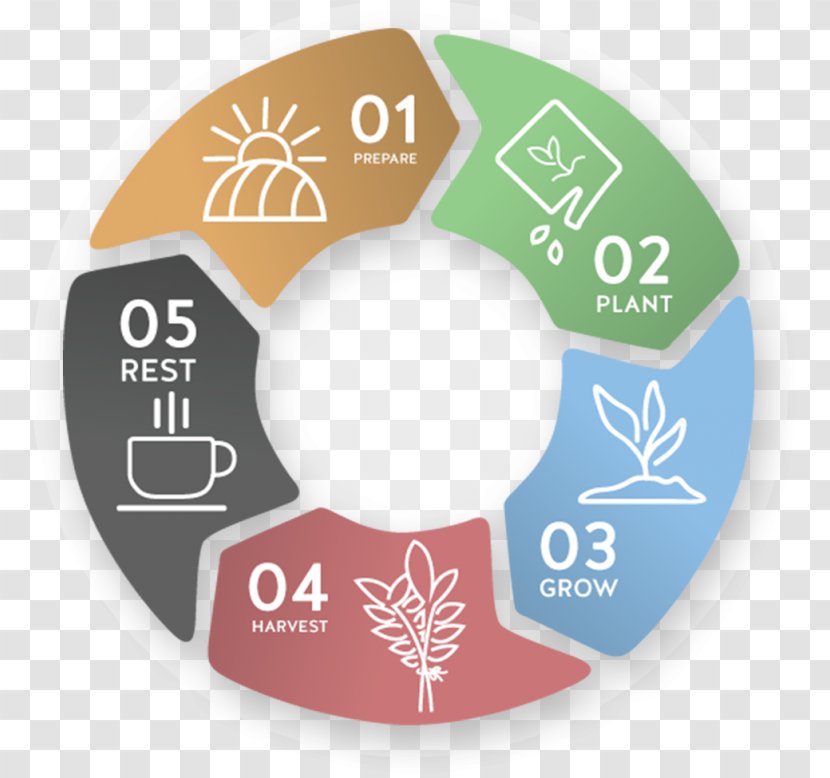 Investment Investor Real Estate Investar Foreign Exchange Market - Technical Analysis - Lifescycle Transparent PNG