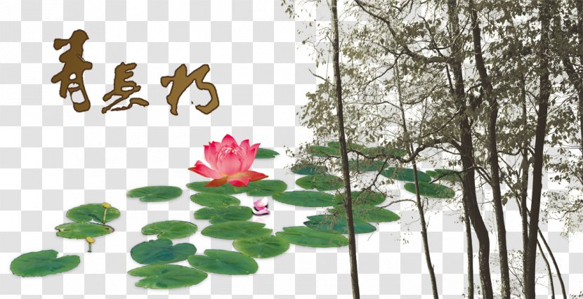 China Ink Wash Painting - Tree - Chinese Style Lotus Branches Transparent PNG