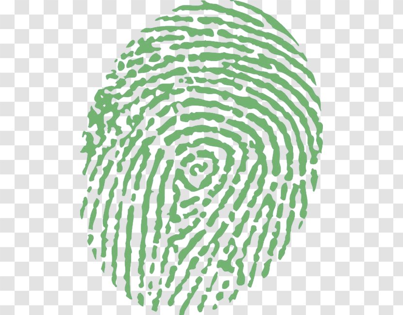 Fingerprint YouTube Mystery Information Personality Quiz - Green - Tree Transparent PNG