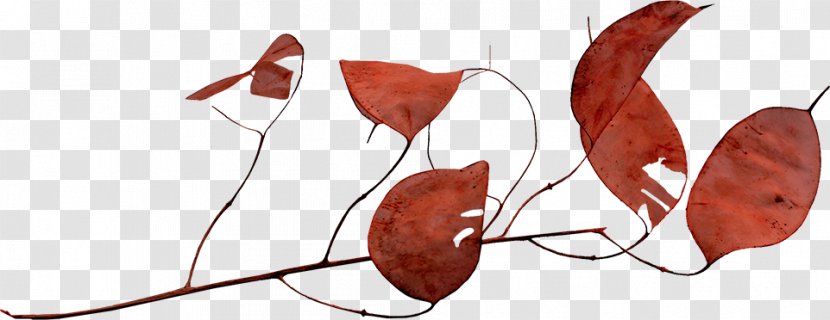 Petal Leaf Clip Art - Watercolor - Free Image Pull Twigs Transparent PNG