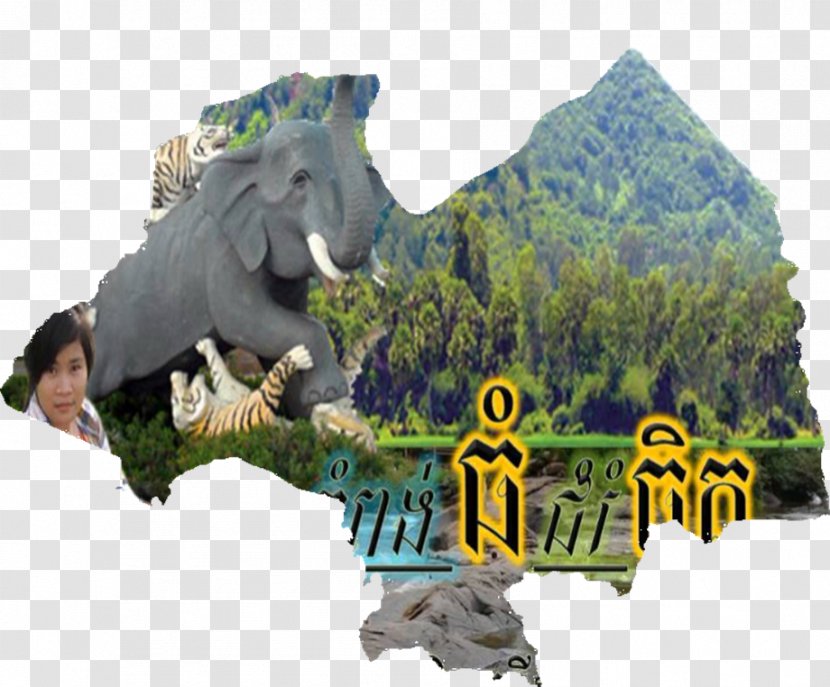 Dinosaur Fauna Kampong Thom Province Tourism Wildlife - Organism Transparent PNG