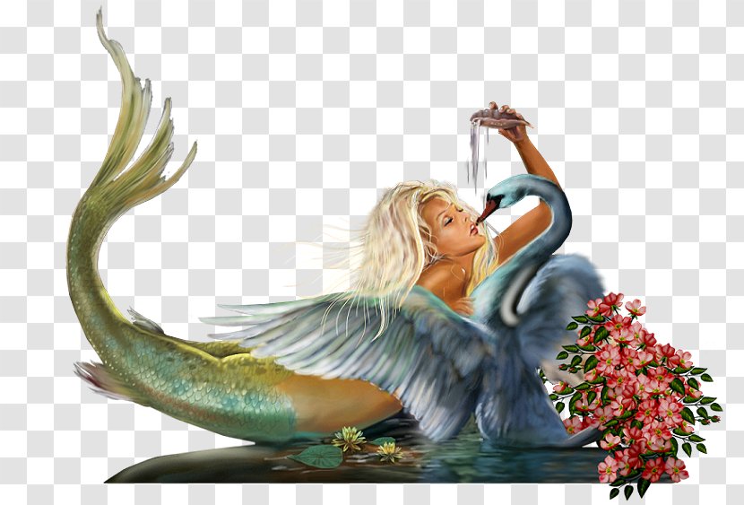 Mermaid Siren Legendary Creature Forumactif Word - Organism Transparent PNG