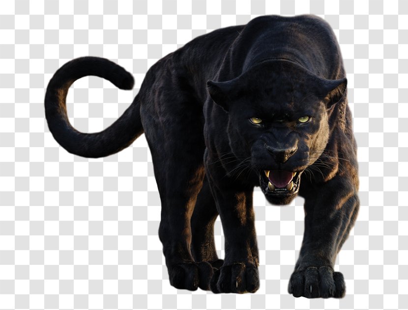 Bagheera The Jungle Book Shere Khan Baloo Mowgli - Black Panther Transparent PNG