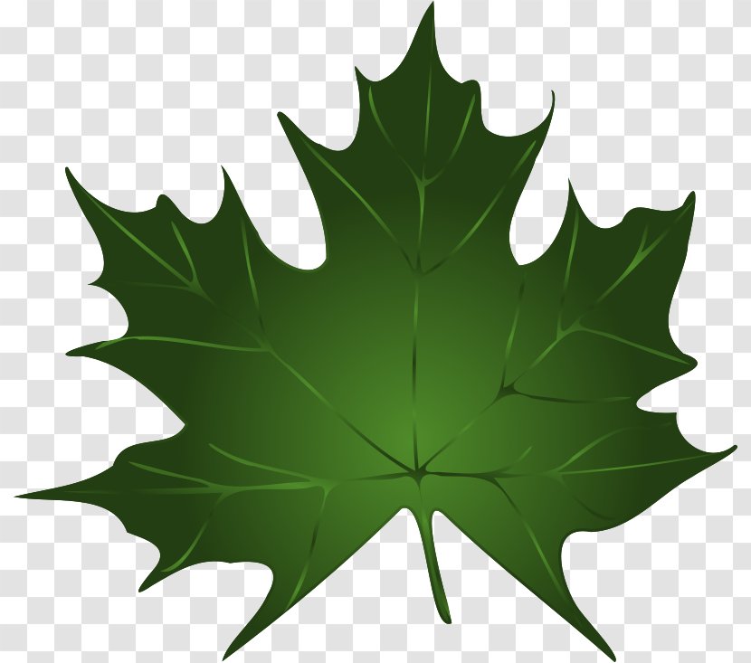 Green Maple Leaf Clip Art - Vector Free Download Transparent PNG