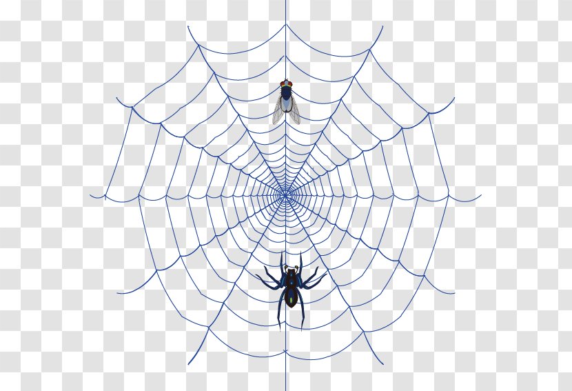 Spider Web Clip Art - Arachnid - Hunting Vector Transparent PNG