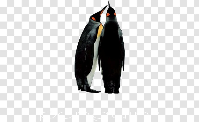 King Penguin Product Trade Catalogue Download - System Transparent PNG