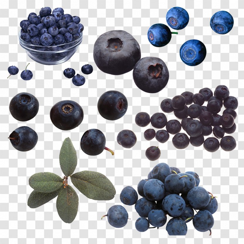 Blueberry Beaujolais Bilberry - Frutti Di Bosco - Blue And Purple Scattered Arbutin Transparent PNG