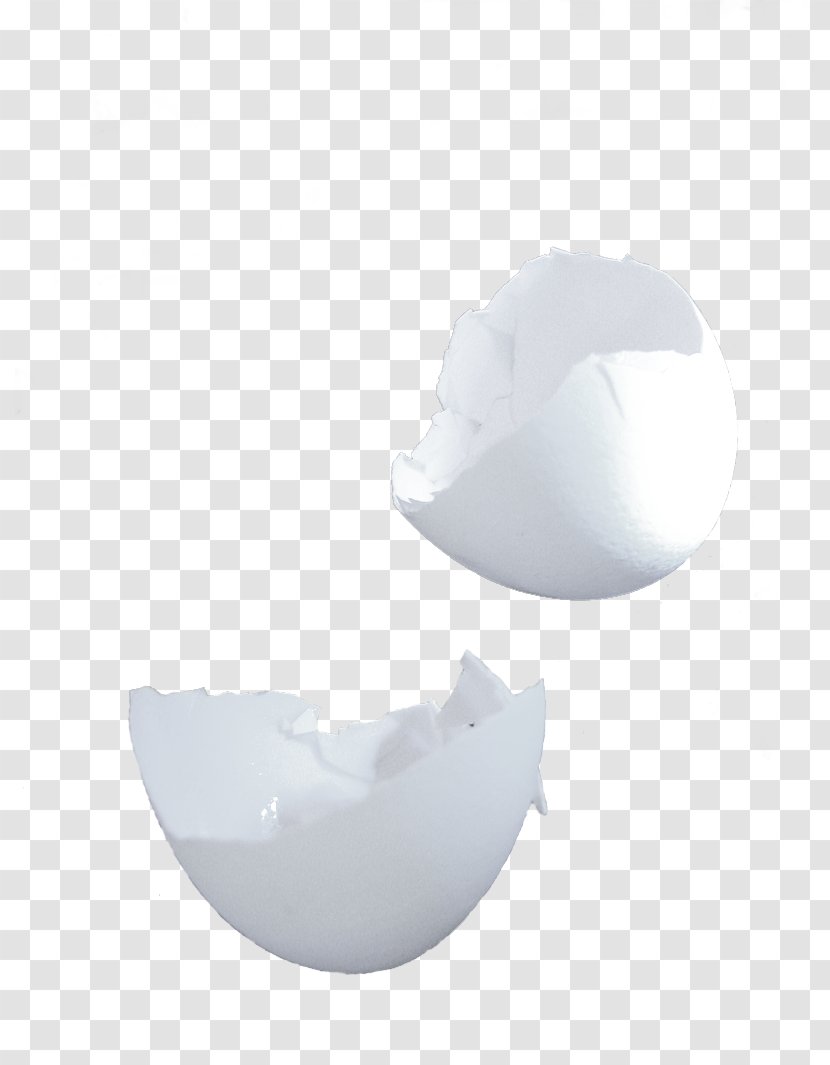 Eggshell Egg White - Chunk - Polite Transparent PNG