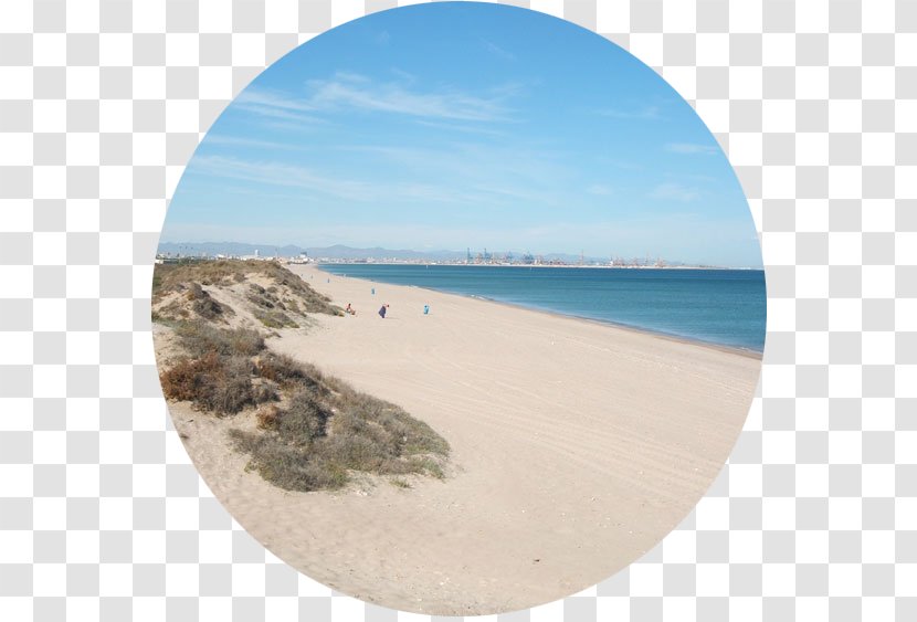 Playa El Saler Albufera Beach Shore - Coast - Playas Transparent PNG