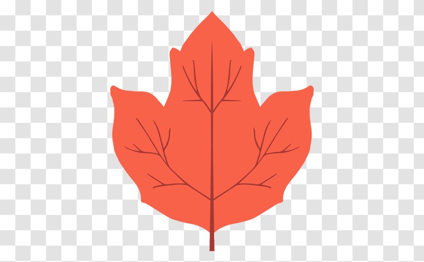 Maple Leaf Autumn Color Red - Flower - Hojas Transparent PNG