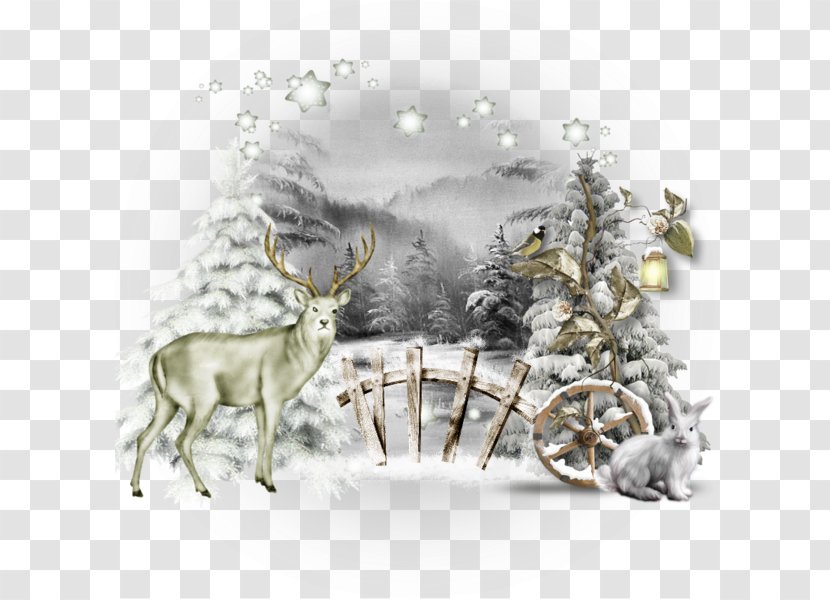 Reindeer Winter Christmas Illustration - Tree - Cartoon White Snow Elk Transparent PNG