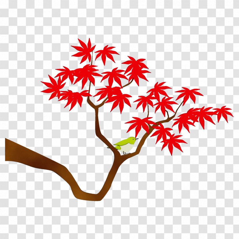 Leaf Tree Plant Woody Flower - Watercolor - Maple Black Transparent PNG