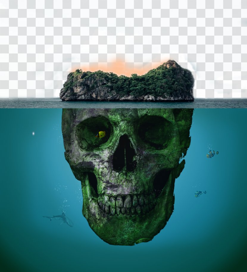 Skull Poster - Information - The Sea Skeleton Head Creative Background Transparent PNG