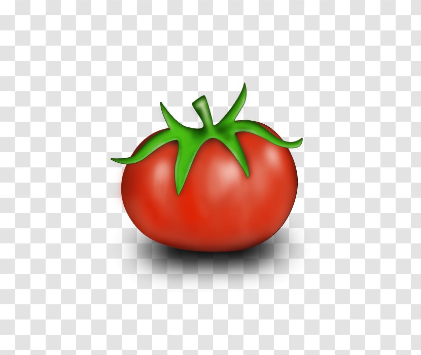 Plum Tomato Bush Plant - Local Food - Cartoon Transparent PNG