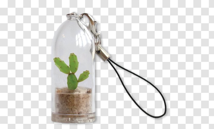 Key Chains Cactus Plants Keyring Succulent Plant - Low Carbon Life Transparent PNG