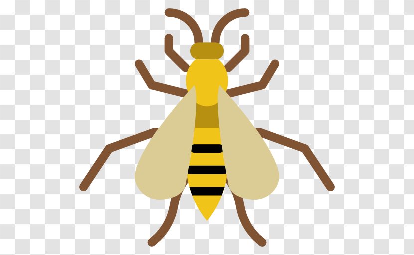 Insect Bee - Pollinator - Wasp Transparent PNG
