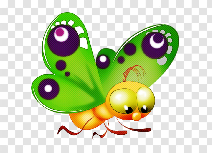 Insect Green Butterfly Cartoon Moths And Butterflies Transparent PNG