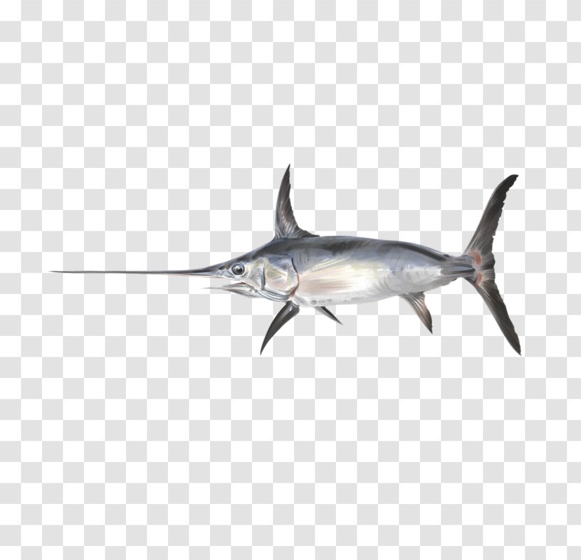 Swordfish Photography Shark Sailfish - Receita Peixe Espada Transparent PNG