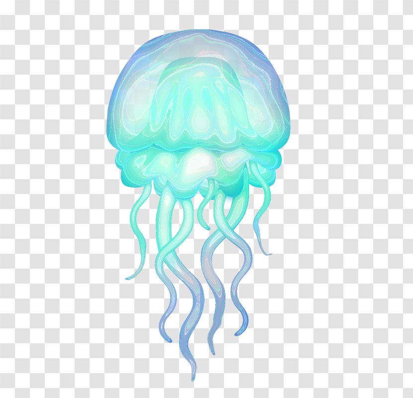 Rhizostomae Hydrozoa Aquatic Animal Box Jellyfish - Jaw Transparent PNG
