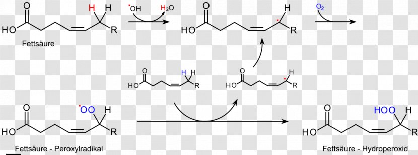 Lipid Peroxidation Rancidification Fat Radical - Substitution Transparent PNG