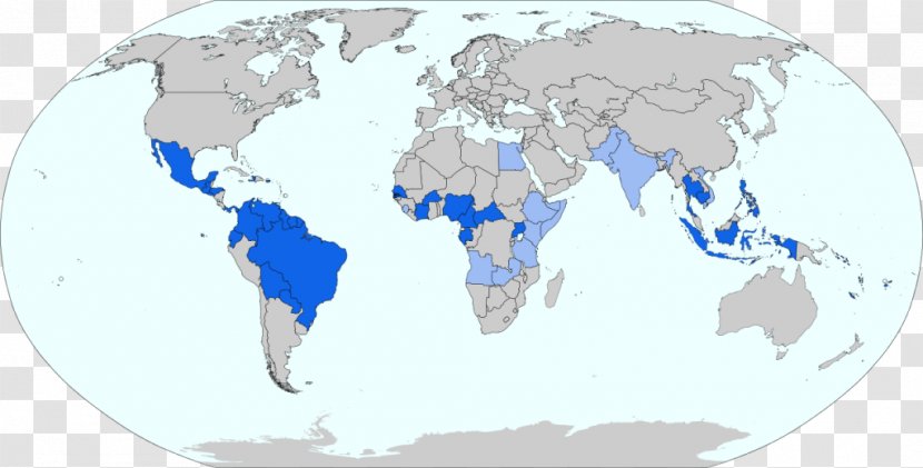 Centers For Disease Control And Prevention 2015–16 Zika Virus Epidemic Fever Metric System - United States - Centimeter Transparent PNG