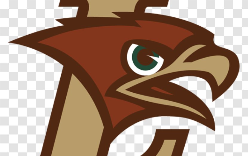 Lehigh Mountain Hawks Football Men's Basketball NCAA Division I Women's University - Fictional Character - American Transparent PNG