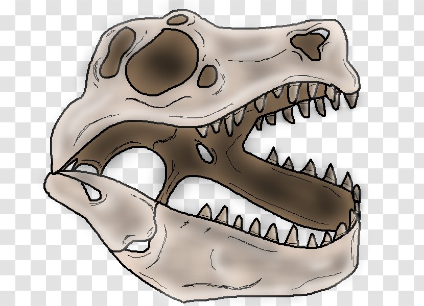 Skull Dinosaur Skeleton Snout - Bone Transparent PNG