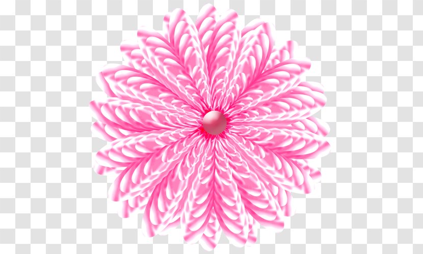 Common Daisy Cut Flowers Floral Design Dahlia - Pink - Flower Transparent PNG