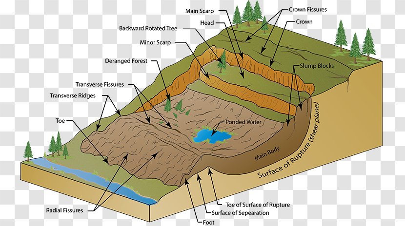 2000 Mumbai Landslide Wiring Diagram Mudflow - Ecosystem - Debris Flow Transparent PNG