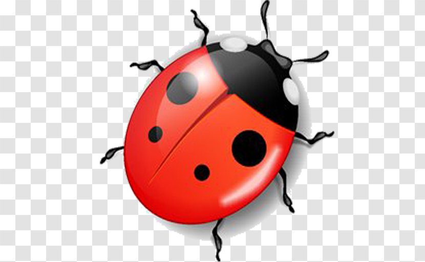 El Bosque De Pandora Association Nightclub Ladybird Uzhgorod Lumberjacks - Beetle - Orange Transparent PNG