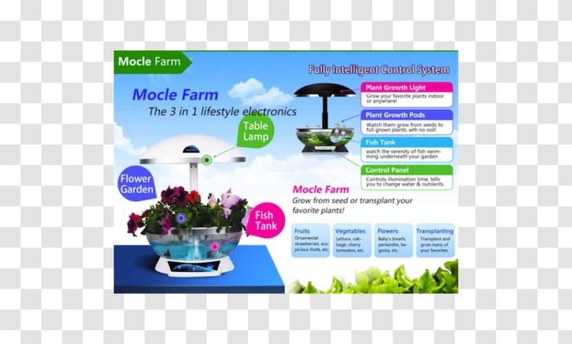 Hydroponics Garden Office Aquaculture Aquaponics - Advertising - Plant Transparent PNG