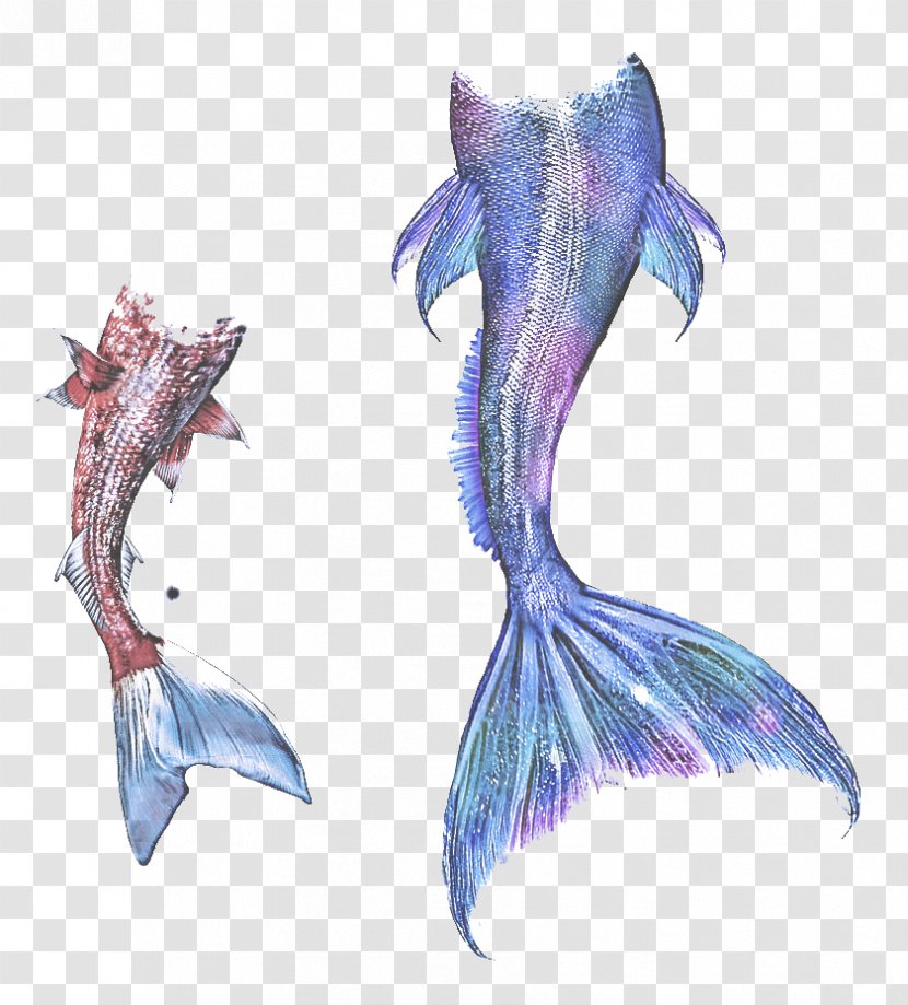 Fictional Character Wing Mythical Creature Dolphin Tail - Marine Mammal Fish Transparent PNG