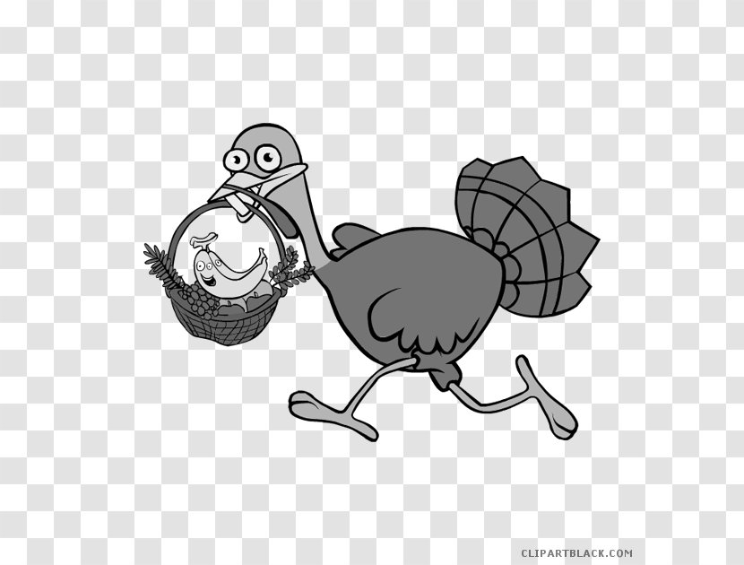 Clip Art Domesticated Turkey Meat Trot Thanksgiving - Chicken Transparent PNG