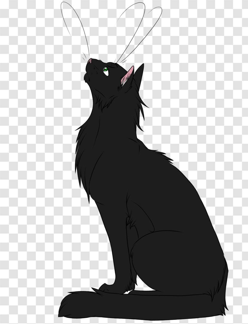 Cat Kitten Whiskers Warriors Hollyleaf - Crowfeather Transparent PNG