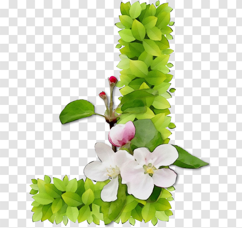 Floral Design Transparent PNG