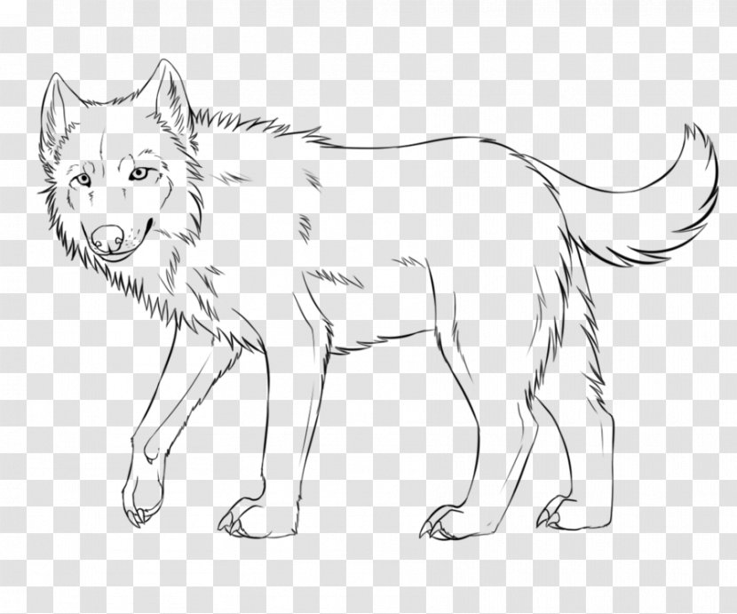 Line Art Gray Wolf Whiskers Coyote Red Fox - Fauna Transparent PNG